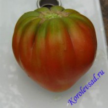 Редкие сорта томатов Американский ребристый 