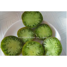 Редкие сорта томатов Зеленая тайна личинки 