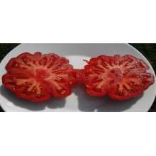 Редкие сорта томатов Костолуто ди Парма 