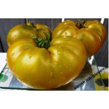 Редкие сорта томатов Чероки Грин