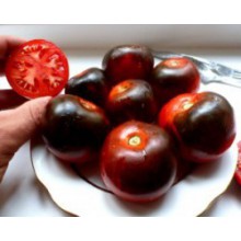 Редкие сорта томатов Синий - П20