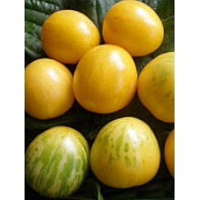 Редкие сорта томатов Хуан-Ю