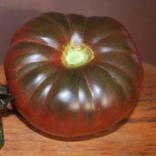 Редкие сорта томатов Черный Гигант