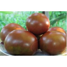 Редкие сорта томатов Сварт