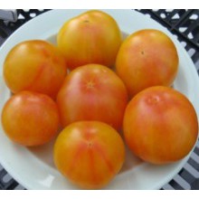 Редкие сорта томатов Полосатая конфета 