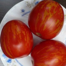 Редкие сорта томатов Русская королева