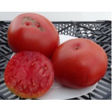 Редкие сорта томатов Кулема