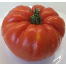 Редкие сорта томатов Спецназ