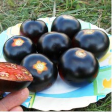 Редкие сорта томатов Каштановый Шоколадный 