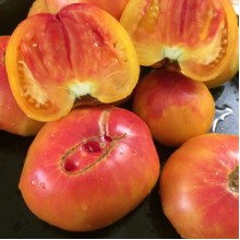 Редкие сорта томатов Мари Робенсон