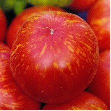 Редкие сорта томатов Персиковый Пестрый