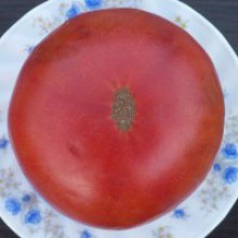 Редкие сорта томатов Фиолетовый Коньяк