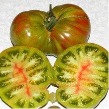 Редкие сорта томатов Хипповая зебра