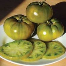 Редкие сорта томатов Ромовая Баба