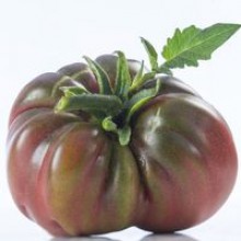 Редкие сорта томатов Черный Слон