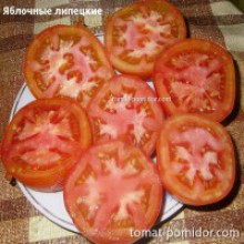 Редкие сорта томатов Яблочный Липецкий