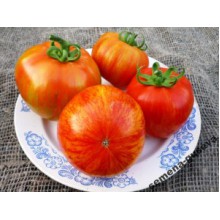Редкие сорта томатов Яблочный окрас