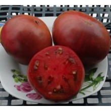 Редкие сорта томатов Специальный ТЭХ