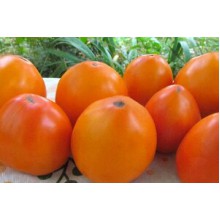 Редкие сорта томатов Мармеладный