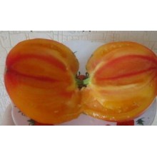 Редкие сорта томатов Оранжевый Русский 117 