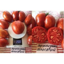 Редкие сорта томатов Перцевидный Полосатый