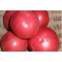 Редкие сорта томатов Румянец