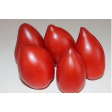 Редкие сорта томатов Сосок Венеры