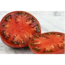 Редкие сорта томатов Углерод