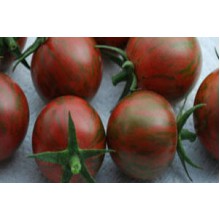Редкие сорта томатов Цзы-Ю